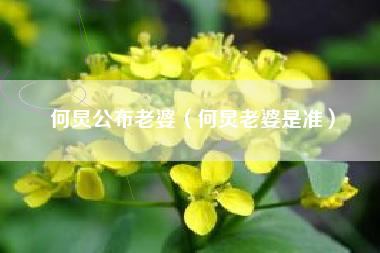 何炅公布老婆（何炅老婆是准）