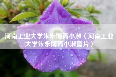 河南工业大学朱永博高小淑（河南工业大学朱永博高小淑图片）