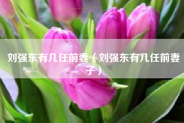 刘强东有几任前妻（刘强东有几任前妻子）