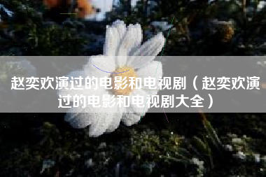 赵奕欢演过的电影和电视剧（赵奕欢演过的电影和电视剧大全）