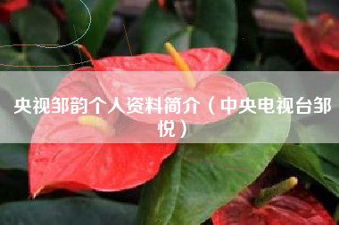 央视邹韵个人资料简介（中央电视台邹悦）
