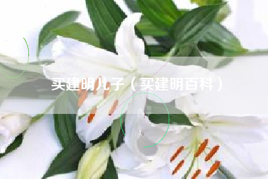 买建明儿子（买建明百科）