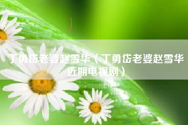 丁勇岱老婆赵雪华（丁勇岱老婆赵雪华近期电视剧）
