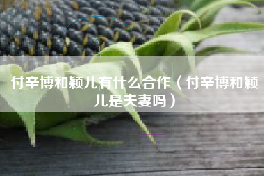 付辛博和颖儿有什么合作（付辛博和颖儿是夫妻吗）