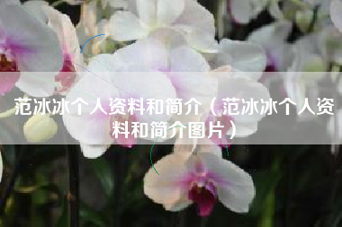 范冰冰个人资料和简介（范冰冰个人资料和简介图片）