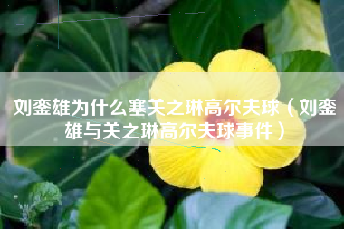 刘銮雄为什么塞关之琳高尔夫球（刘銮雄与关之琳高尔夫球事件）