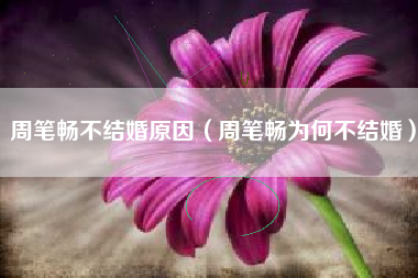 周笔畅不结婚原因（周笔畅为何不结婚）
