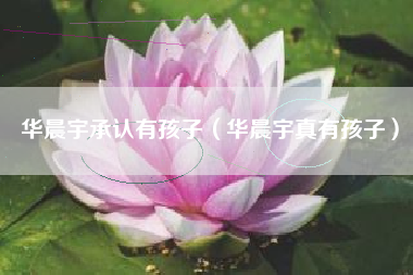 华晨宇承认有孩子（华晨宇真有孩子）