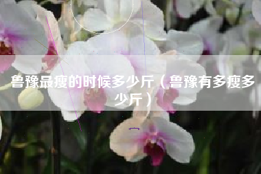 鲁豫最瘦的时候多少斤（鲁豫有多瘦多少斤）
