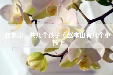 赵本山一共几个孩子（赵本山有几个小孩）
