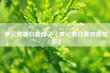 罗云熙啃白鹿脖子（罗云熙白鹿吻戏花絮）