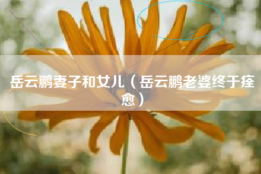 岳云鹏妻子和女儿（岳云鹏老婆终于痊愈）