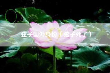 弦子国外身份（弦子死了）