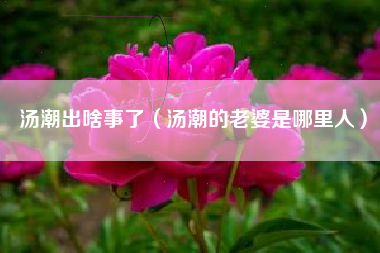 汤潮出啥事了（汤潮的老婆是哪里人）