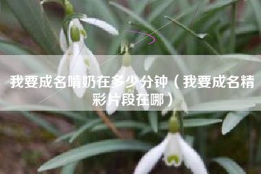 我要成名啃奶在多少分钟（我要成名精彩片段在哪）