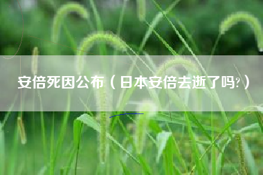 安倍死因公布（日本安倍去逝了吗?）