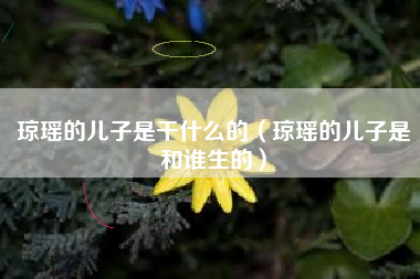 琼瑶的儿子是干什么的（琼瑶的儿子是和谁生的）