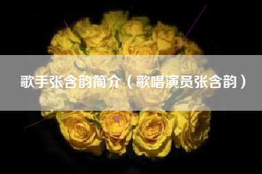 歌手张含韵简介（歌唱演员张含韵）