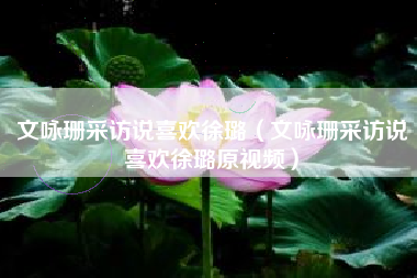 文咏珊采访说喜欢徐璐（文咏珊采访说喜欢徐璐原视频）