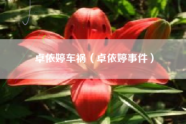 卓依婷车祸（卓依婷事件）