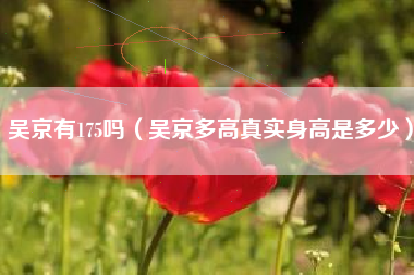 吴京有175吗（吴京多高真实身高是多少）