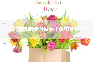 张柏芝电脑维修原图（张柏芝设计）