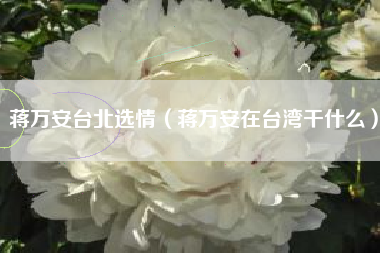 蒋万安台北选情（蒋万安在台湾干什么）
