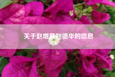关于赵增熹刘德华的信息