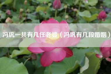 冯巩一共有几任老婆（冯巩有几段婚姻）