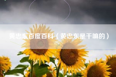 黄忠东百度百科（黄忠东是干嘛的）