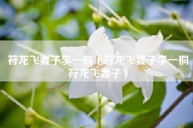符龙飞妻子李一桐（符龙飞妻子李一桐符龙飞妻子）