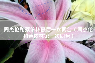 周杰伦和蔡依林最后一次同台（周杰伦和蔡依林第一次同台）