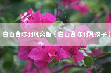 白百合陈羽凡离婚（白百合陈羽凡孩子）