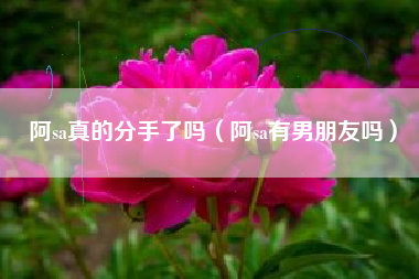 阿sa真的分手了吗（阿sa有男朋友吗）