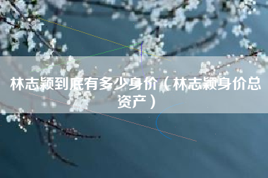 林志颖到底有多少身价（林志颖身价总资产）