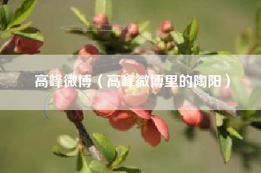 高峰微博（高峰微博里的陶阳）