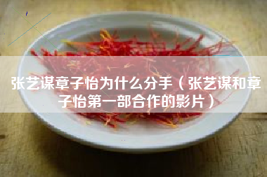 张艺谋章子怡为什么分手（张艺谋和章子怡第一部合作的影片）