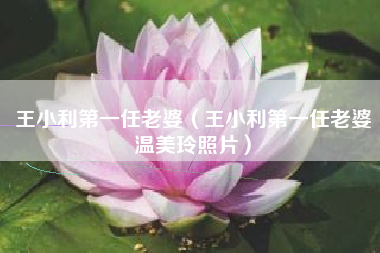 王小利第一任老婆（王小利第一任老婆温美玲照片）