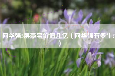 向华强5层豪宅价值几亿（向华强有多牛?）
