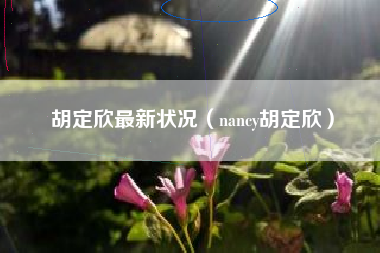 胡定欣最新状况（nancy胡定欣）
