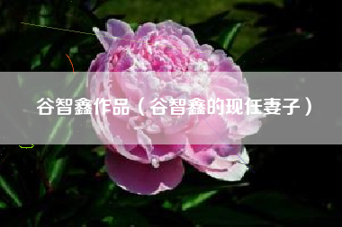 谷智鑫作品（谷智鑫的现任妻子）