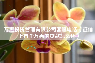 万惠投资管理有限公司客服电话（征信上有个万惠的贷款怎么还）