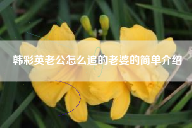 韩彩英老公怎么追的老婆的简单介绍