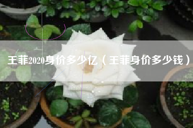 王菲2020身价多少亿（王菲身价多少钱）