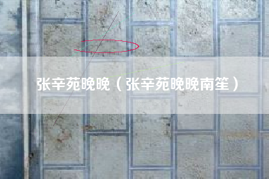 张辛苑晚晚（张辛苑晚晚南笙）