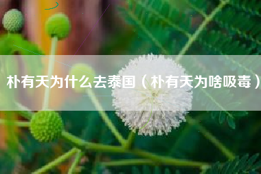 朴有天为什么去泰国（朴有天为啥吸毒）