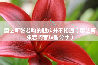 唐艺昕张若昀的悲欢并不相通（唐艺昕张若昀曾短暂分手）