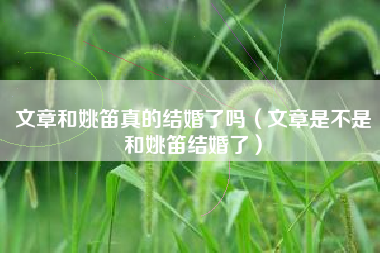 文章和姚笛真的结婚了吗（文章是不是和姚笛结婚了）