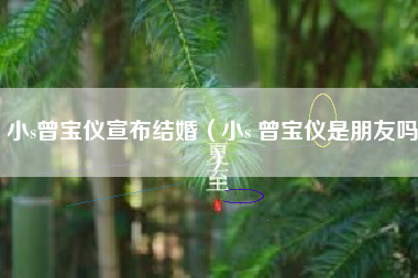 小s曾宝仪宣布结婚（小s 曾宝仪是朋友吗）