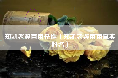 郑凯老婆苗苗是谁（郑凯老婆苗苗真实姓名）
